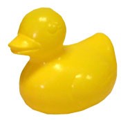 One Duck for the Duck Race 2024